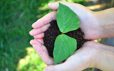 乐宝体育·(中国)官方网站