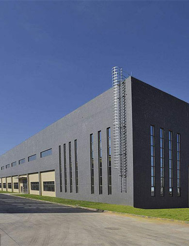 
		自动人像机
	(图10)